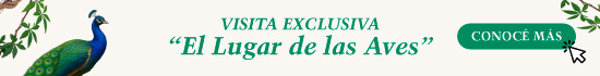 Conoce más