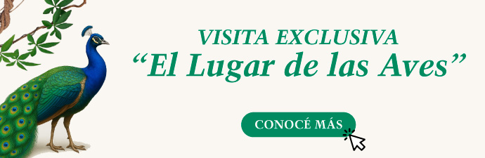 Conoce más